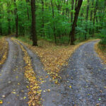 miscellaneous meanderings fork roads